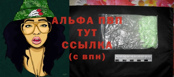 СК Алексин