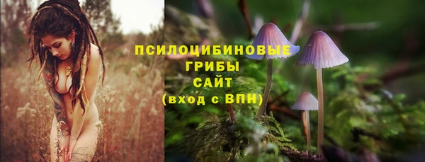 не бодяженный Алзамай